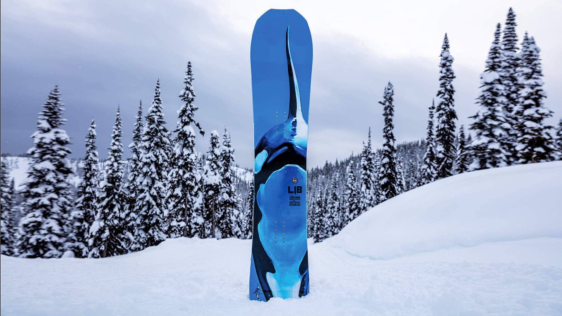 Lib Tech T. Rice Orca: Powder Board Review 2019 - Snowboarder
