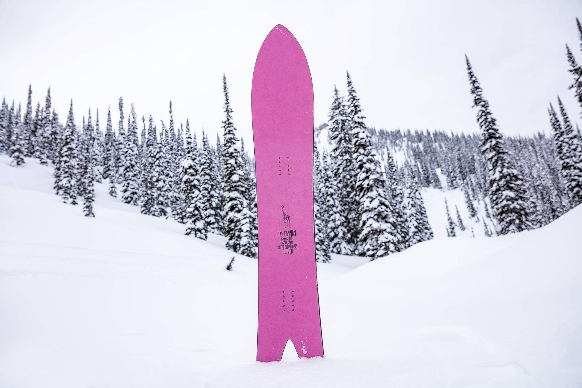 Nitro Quiver Cannon: Powder Board Review 2019 - Snowboarder