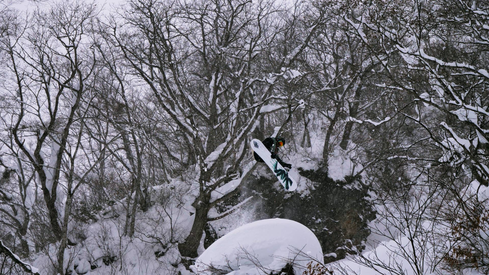Snowboard Life's Top 25 Board Test 2000 Sims Daytona - Snowboarder
