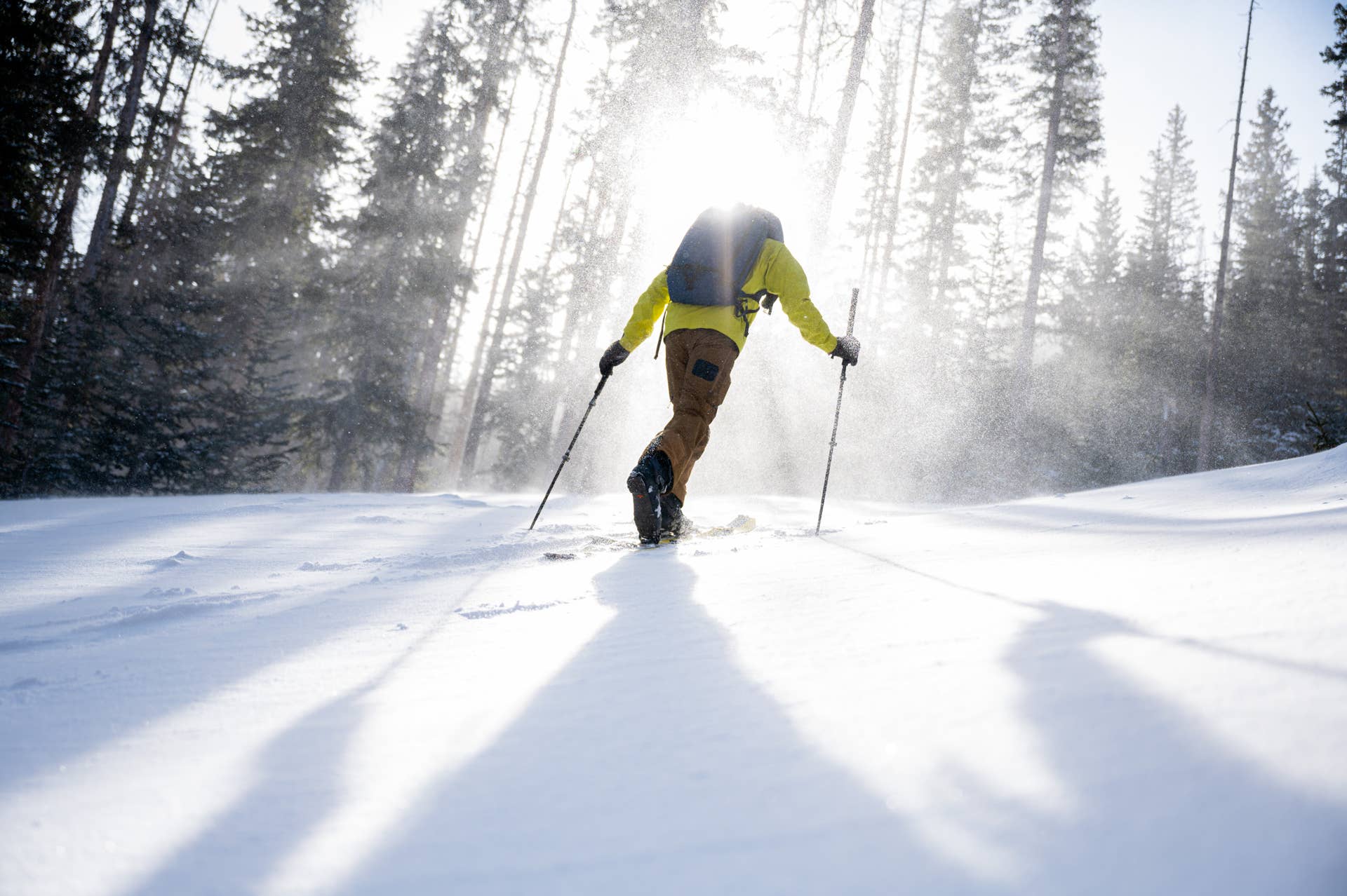 ウィンドマウンテンボード Review: WNDR ALPINE Shepherd Tour is an ideal splitboard for less