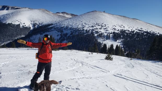 Berthoud's Pass in Colorado with a dog.