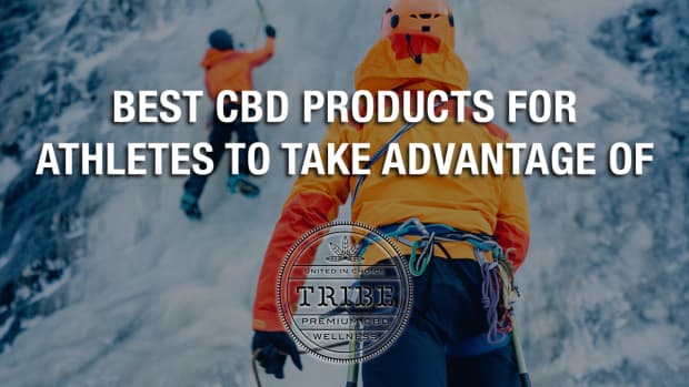 Snowboard Life s Top 25 Board Test 2000 Salomon 550 Snowboarder