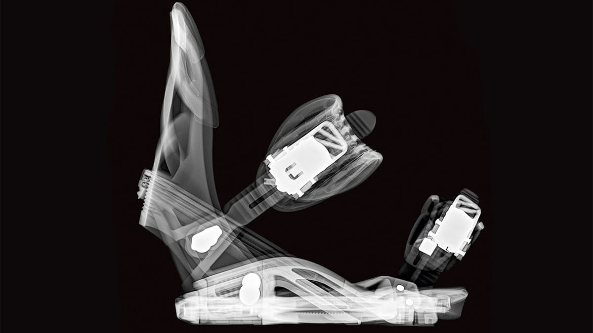 2017 salomon hologram size L 【公式通販】