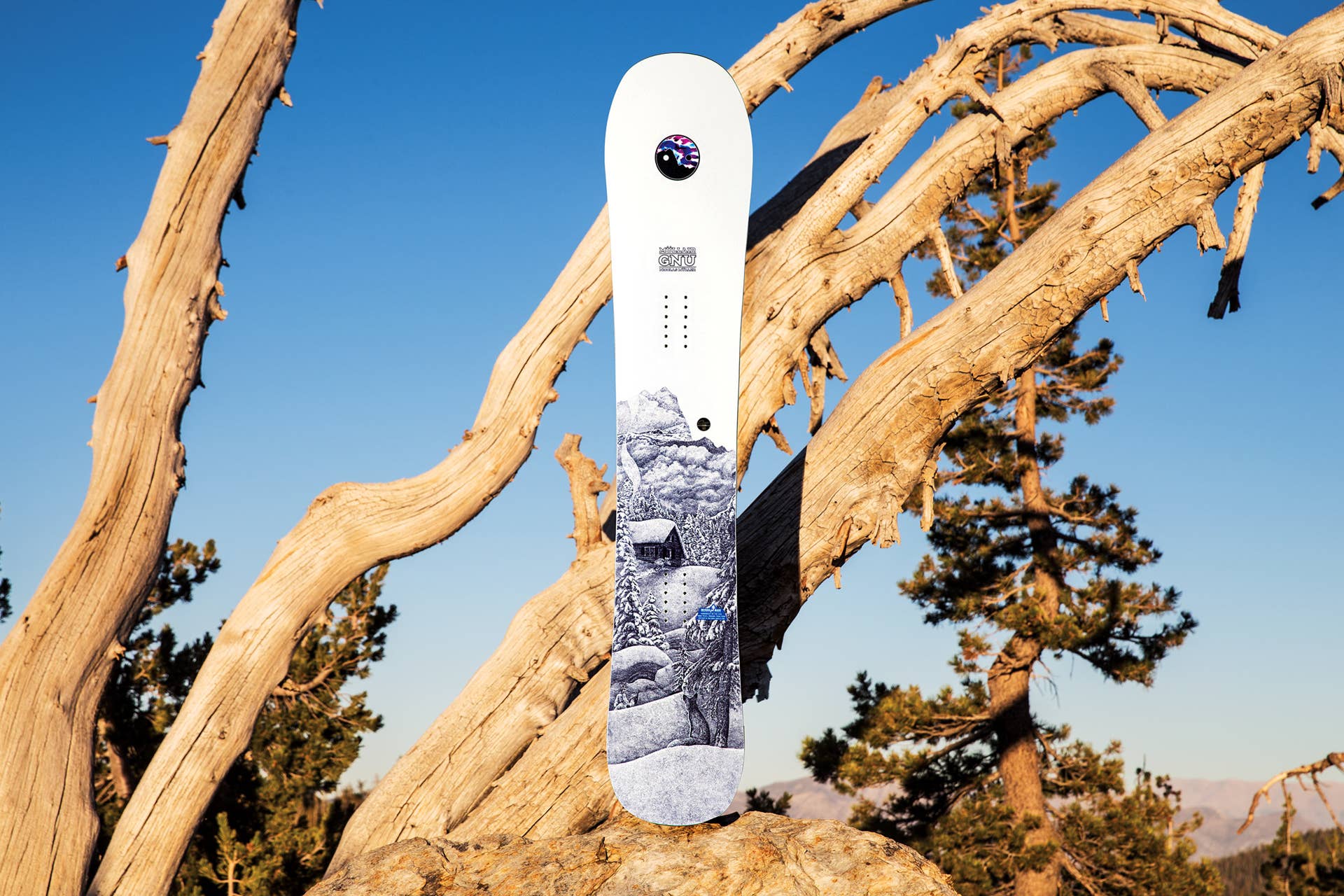 GNU MÜLLAIR: 2017-2018 Powder Board Lookbook - Snowboarder