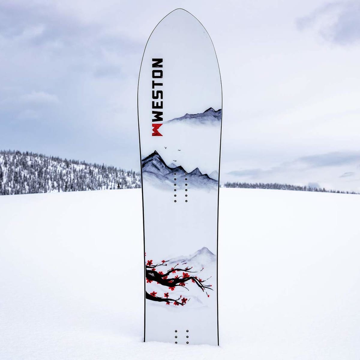 Weston Japow: Powder Board Review 2019