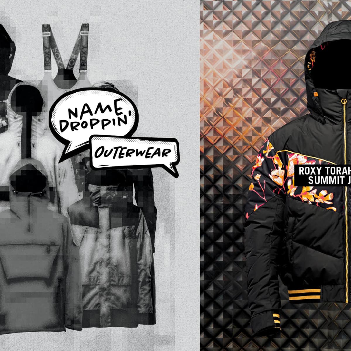 Name Droppin The Roxy Torah Bright Summit Collection Snowboarder