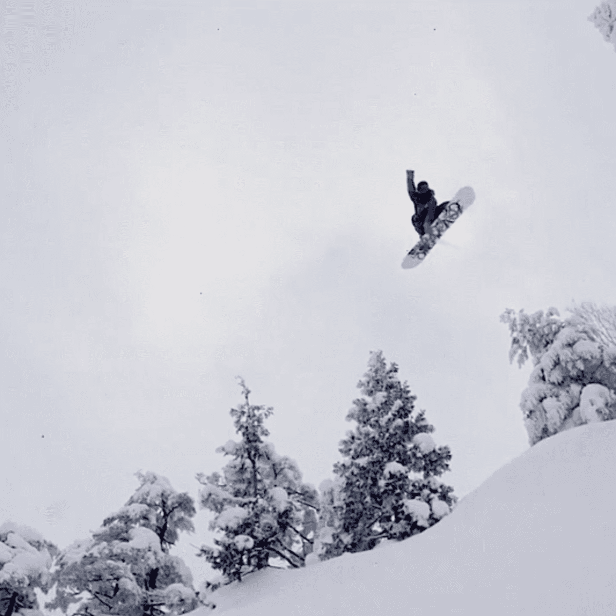 Yes Now Snowboard Tdf Tadashi Fuse Camber | eBay