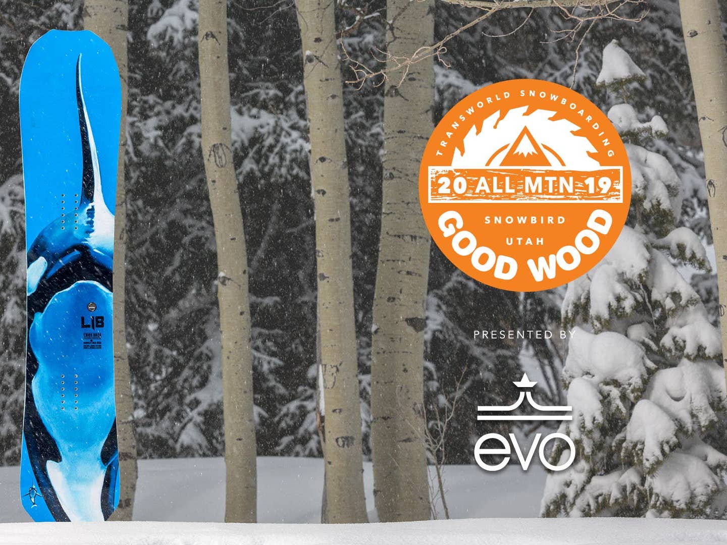 Lib Tech T. Rice Orca Snowboard Review: Best Men