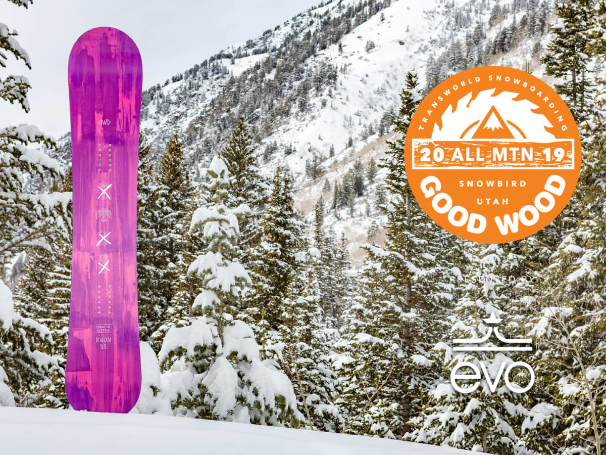 Dinosaurs will die 2015 MAET Snowboard