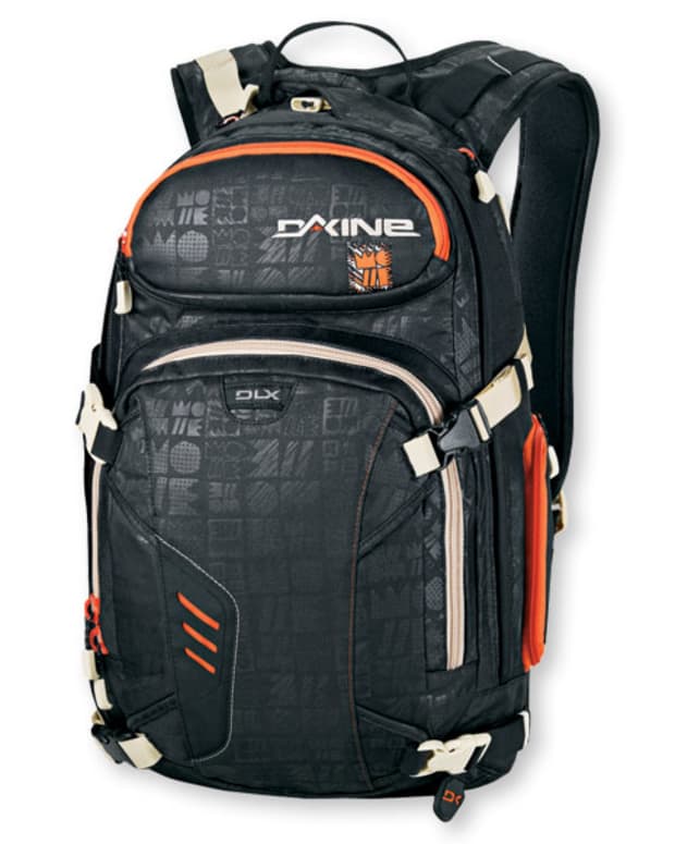 Dakine heli pro dlx 20l backpack cheap