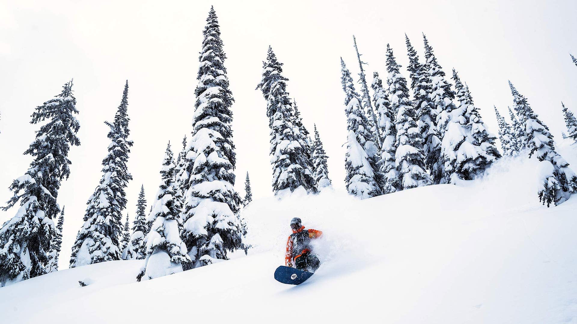 スノーボード Burton Family Tree stun gun 155 スノーボード Burton Family Tree Stun Gun 155