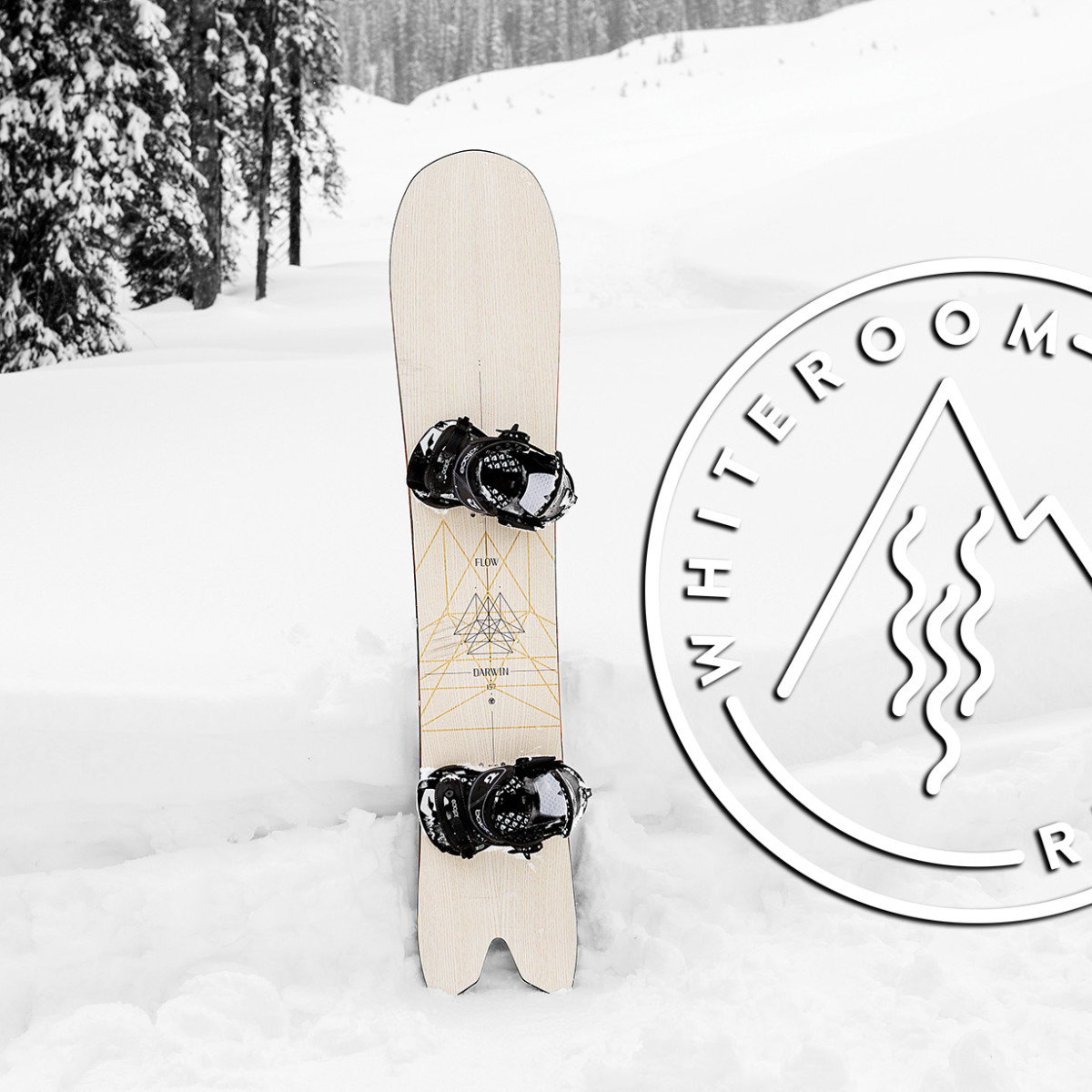 Flow Darwin 2015 Powder Board Review - Snowboarder