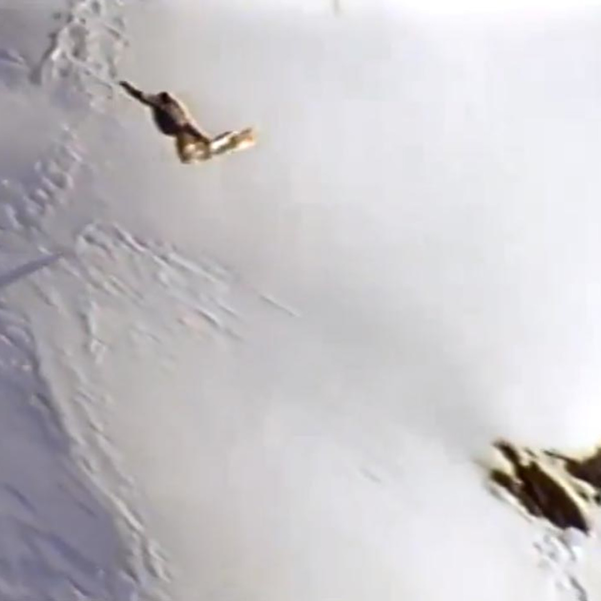 The Haakonsen Faktor - Snowboarder