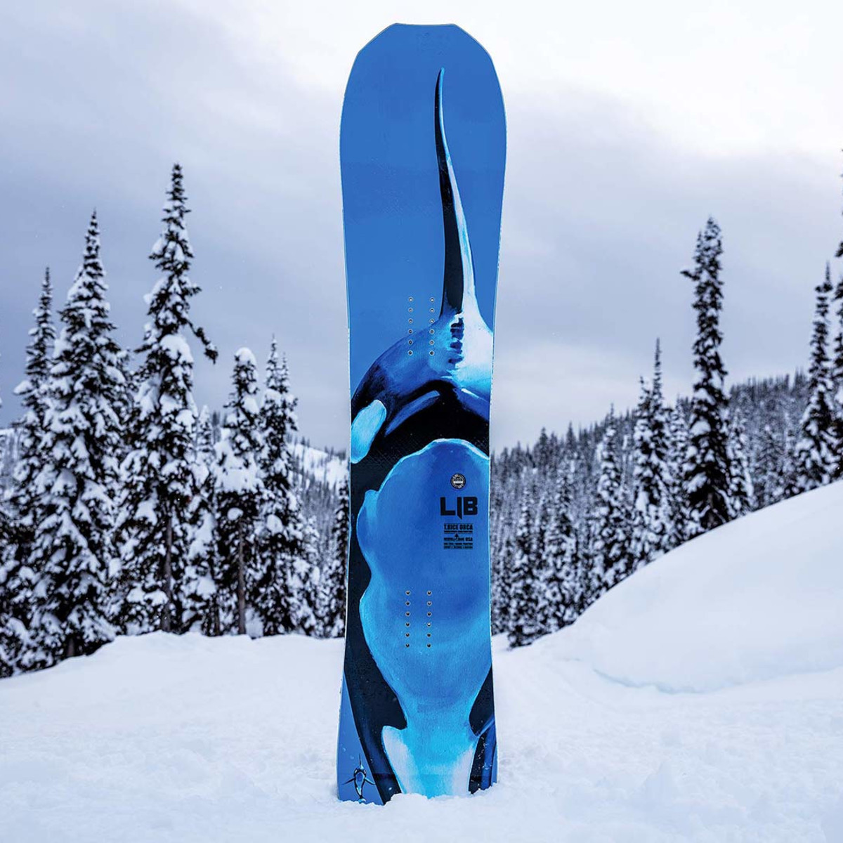 Lib Tech T. Rice Orca: Powder Board Review 2019 - Snowboarder