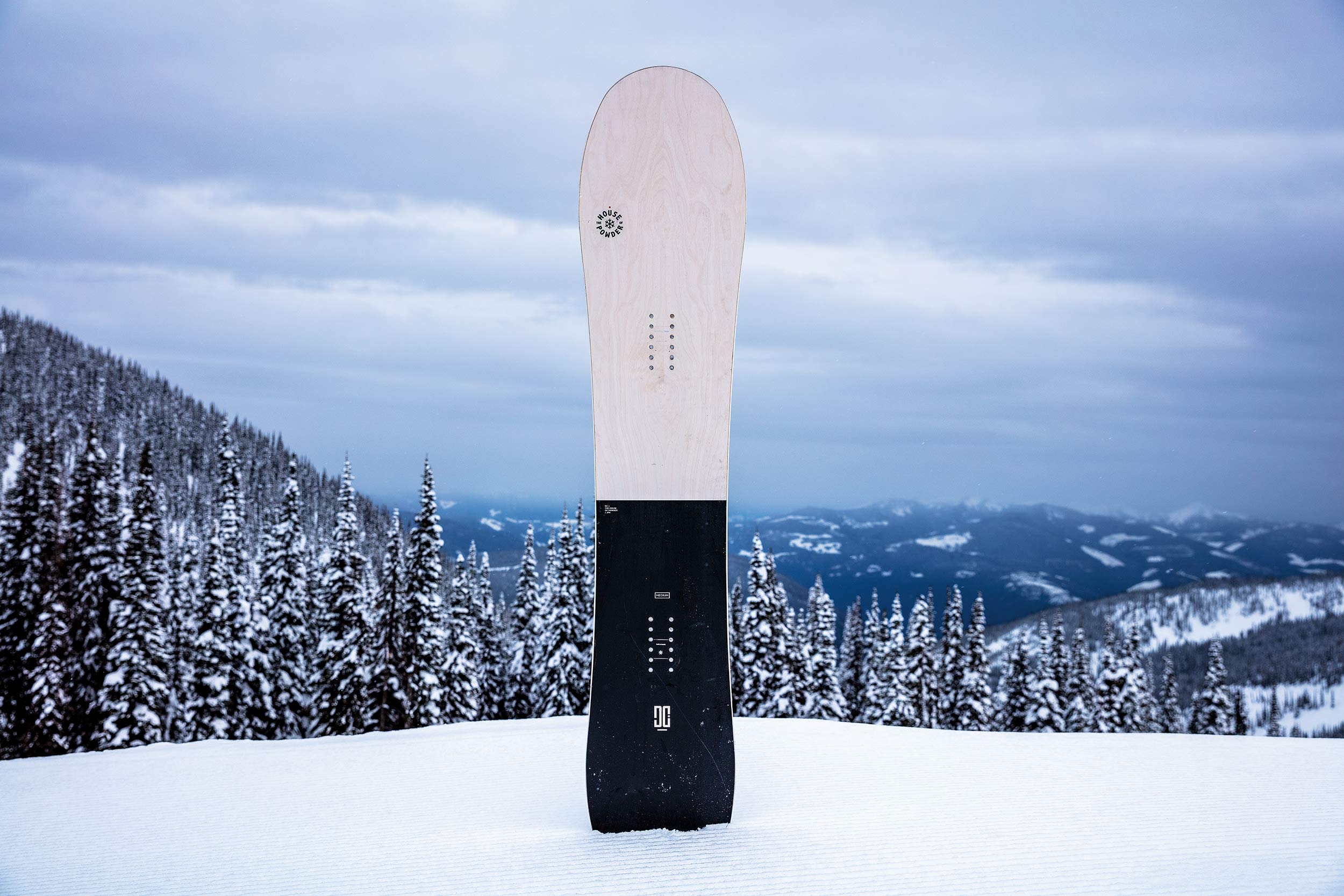 DC HR: Powder Board Review 2019 - Snowboarder