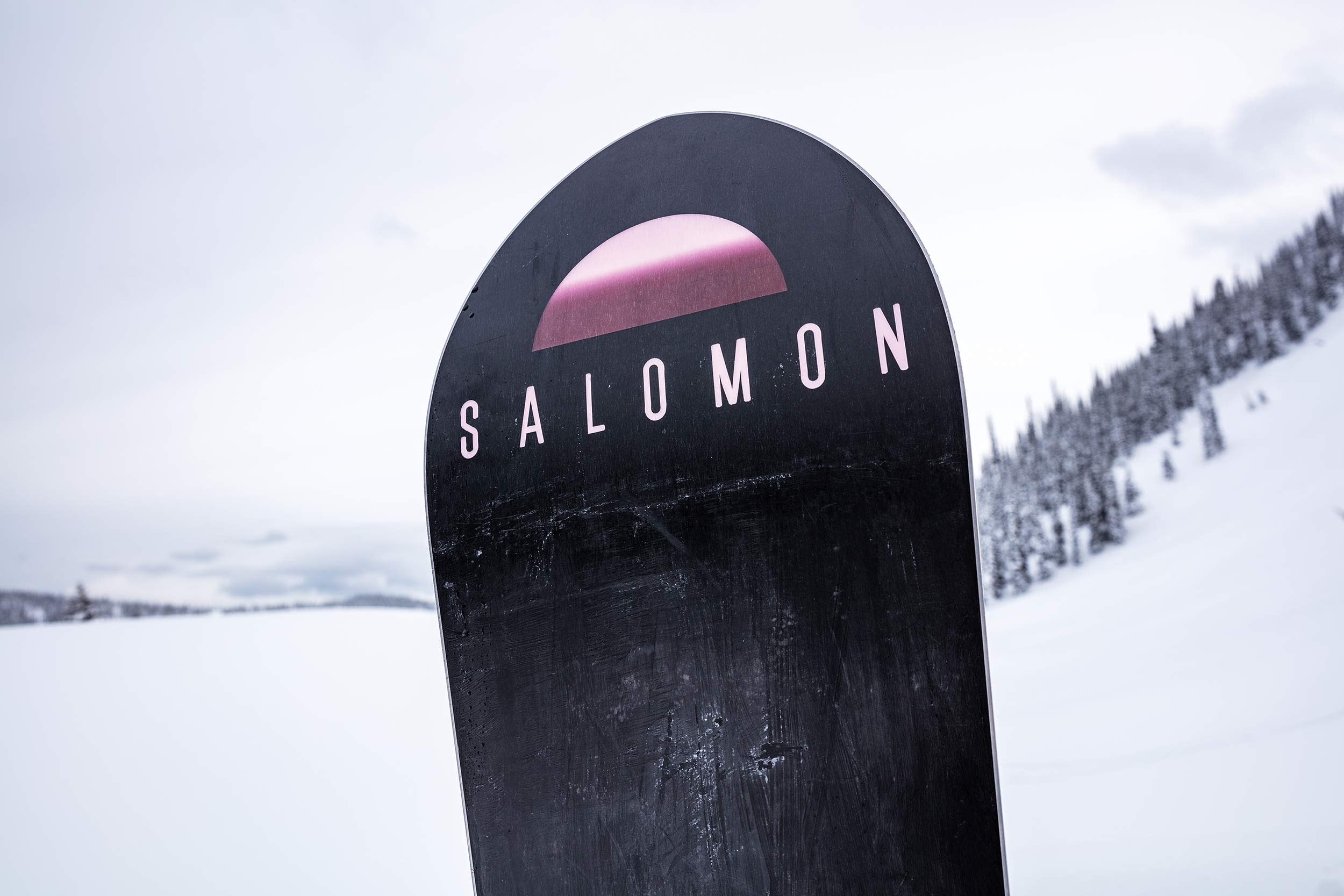 ボード SALOMON - SALOMON PILLOW TALK 145 Salomon Pillow Talk 2015-2016 Women's Snowboar