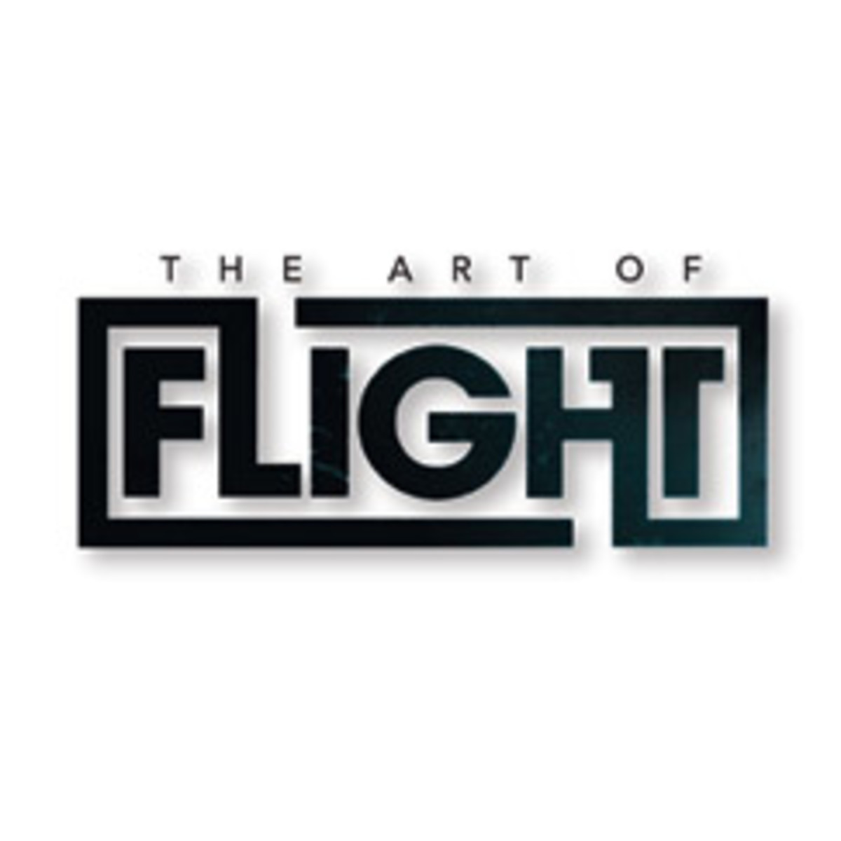 The Art Of FLIGHT Transworld Snowboarding Snowboarder