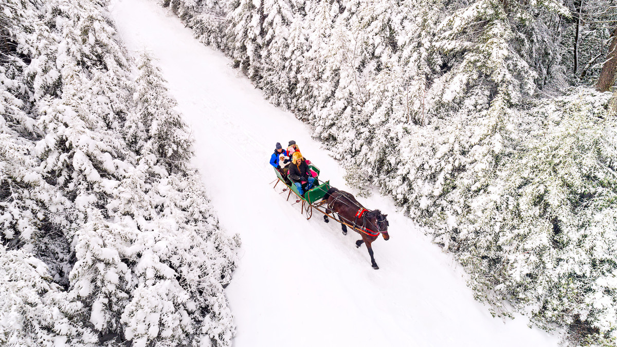 Snowshoe Mountain RIDING, CONDITIONS, EVENTS & ADVENTURES Snowboarder