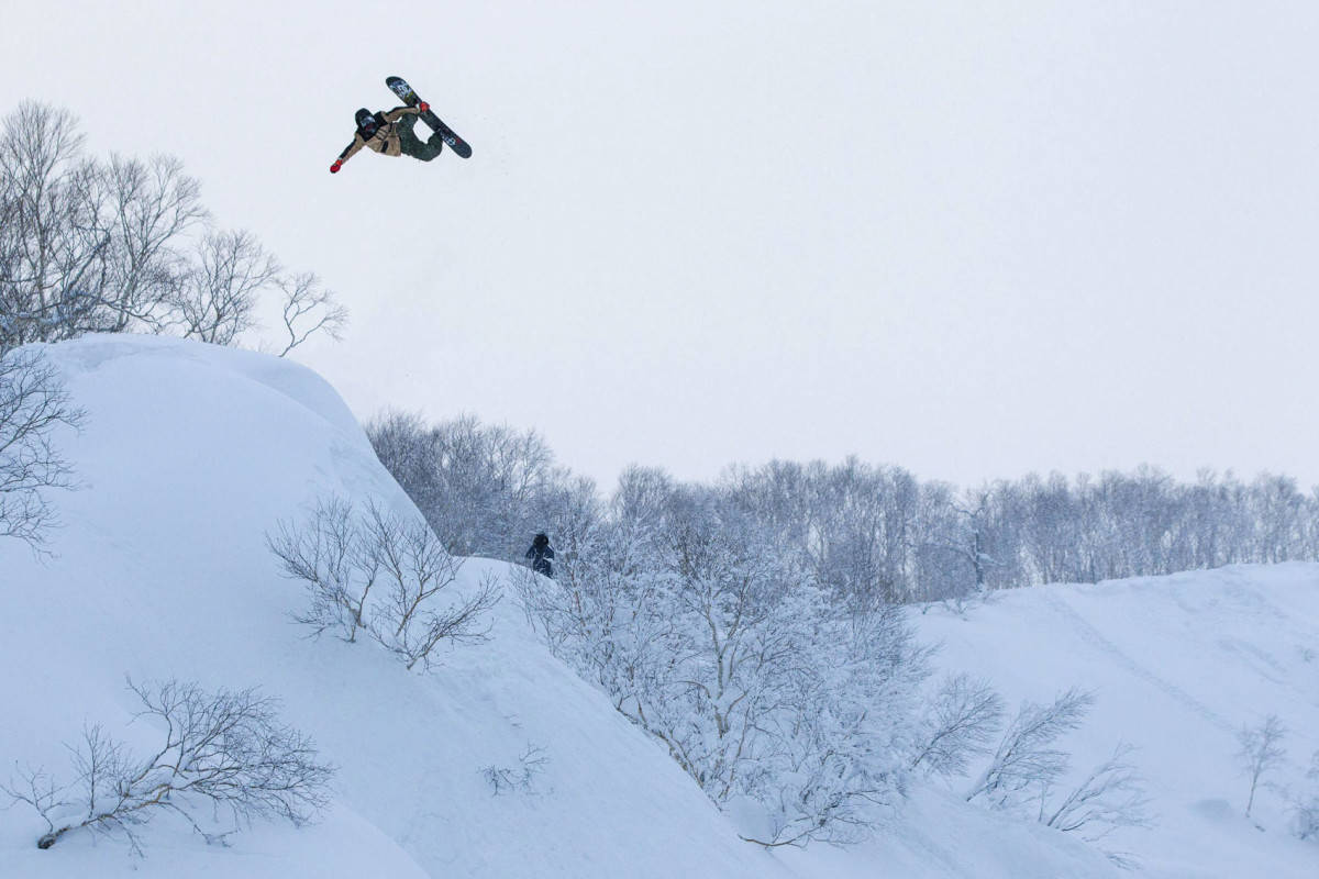 Dc torstein sales horgmo boa