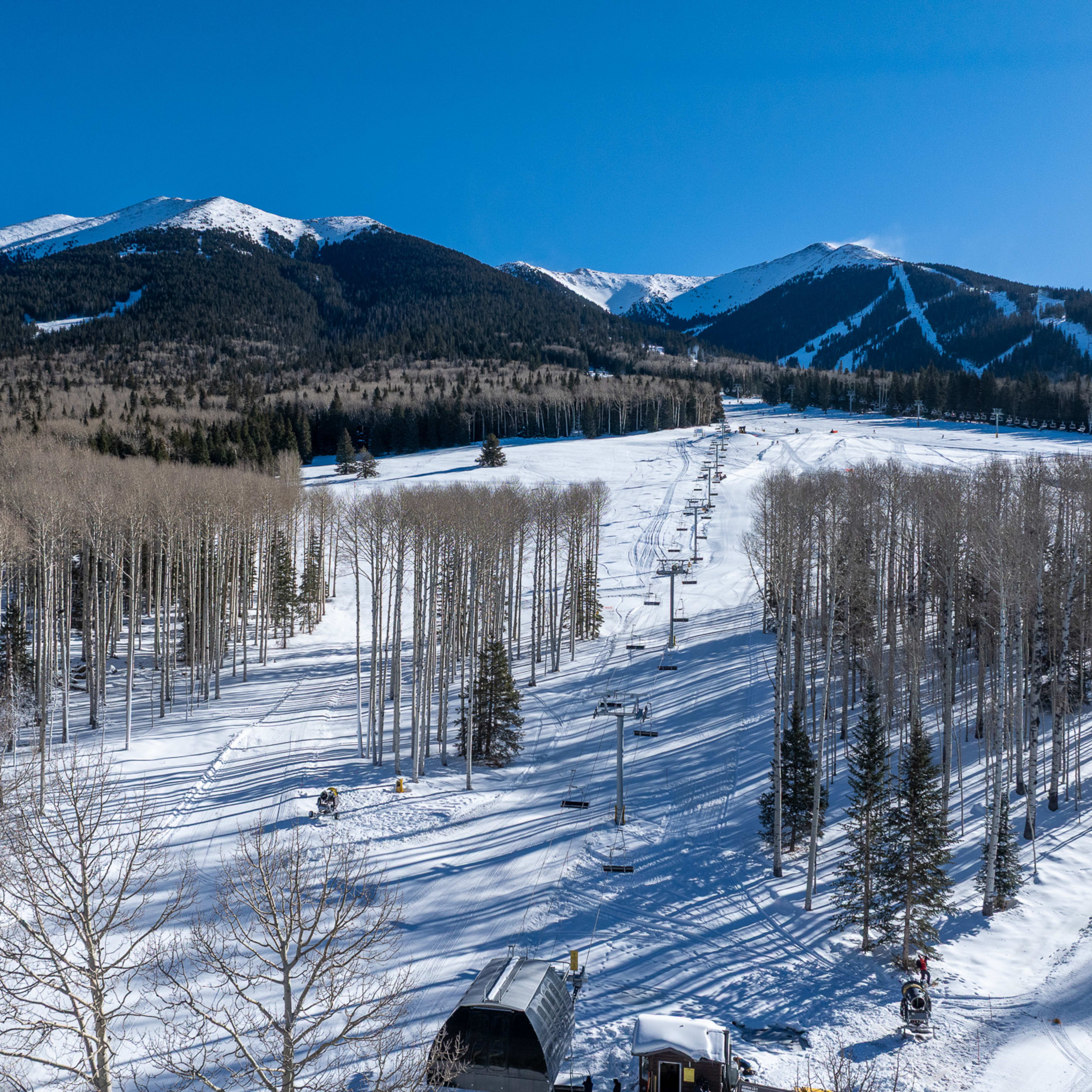 Burton Snowboards and Paul Smith Collab 2011 Vapor Snowboard