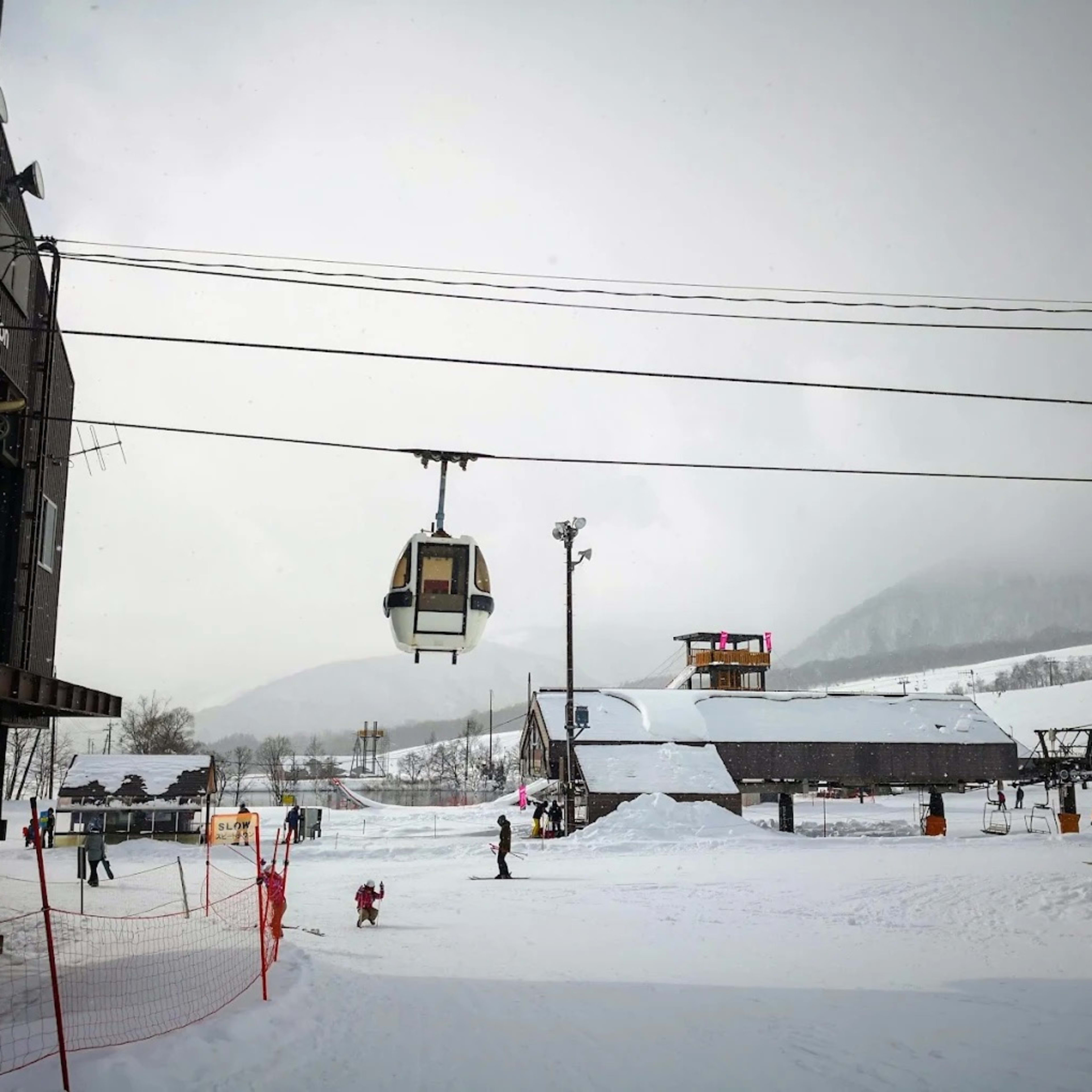 Buy Allian Prism LTD Snowboard - Shop for Snowboard Gear at