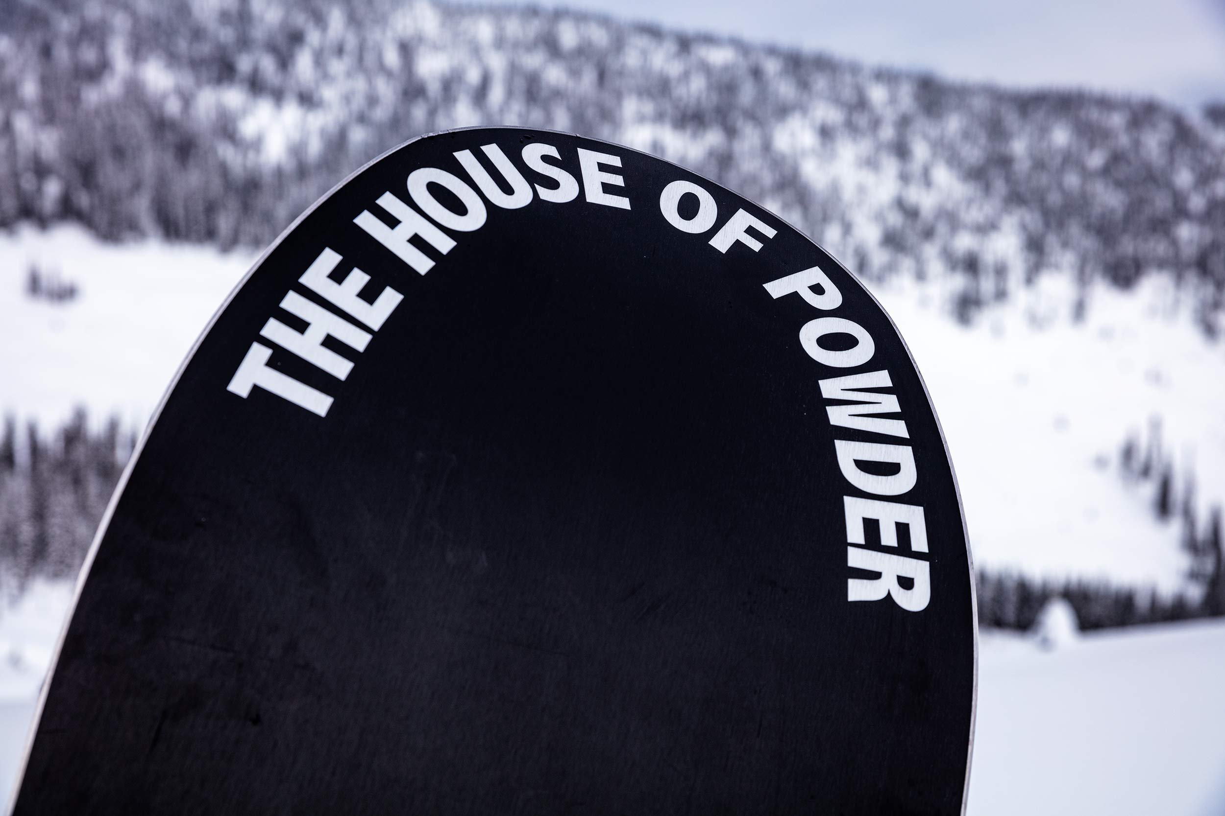 DC HR: Powder Board Review 2019 - Snowboarder