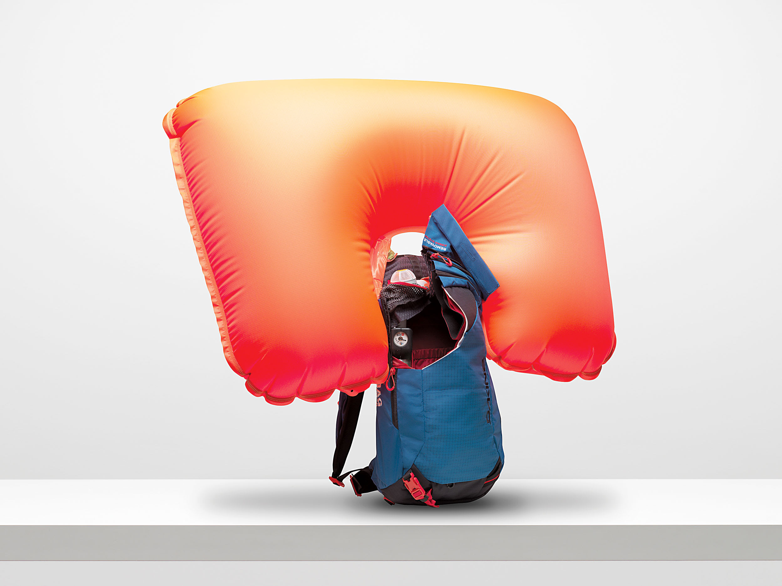 Dakine Poacher RAS 18L Pack: Deconstructed - Snowboarder